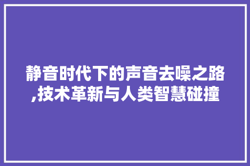 静音时代下的声音去噪之路,技术革新与人类智慧碰撞