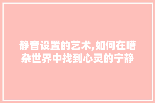 静音设置的艺术,如何在嘈杂世界中找到心灵的宁静
