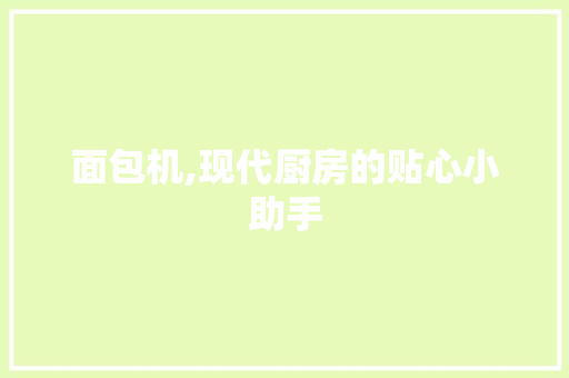 面包机,现代厨房的贴心小助手