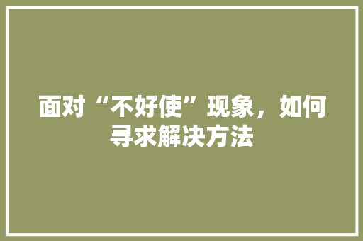 面对“不好使”现象，如何寻求解决方法