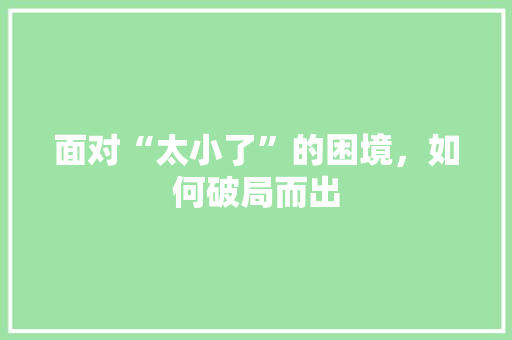 面对“太小了”的困境，如何破局而出