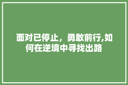 面对已停止，勇敢前行,如何在逆境中寻找出路 电脑故障维修