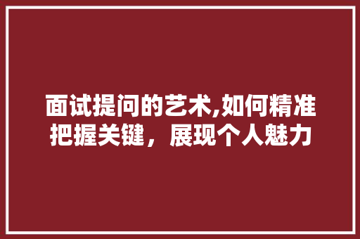 面试提问的艺术,如何精准把握关键，展现个人魅力