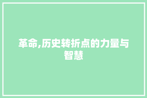 革命,历史转折点的力量与智慧
