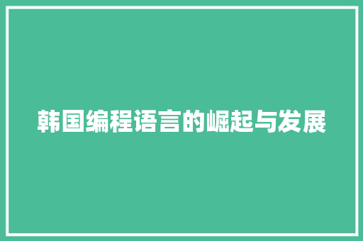 韩国编程语言的崛起与发展