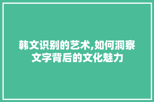 韩文识别的艺术,如何洞察文字背后的文化魅力