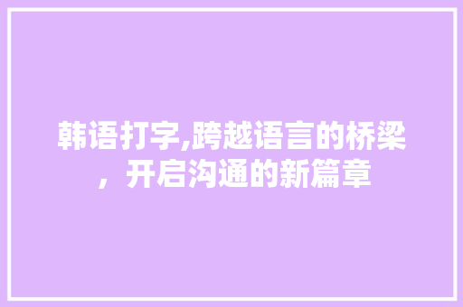 韩语打字,跨越语言的桥梁，开启沟通的新篇章