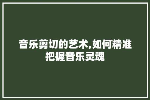音乐剪切的艺术,如何精准把握音乐灵魂