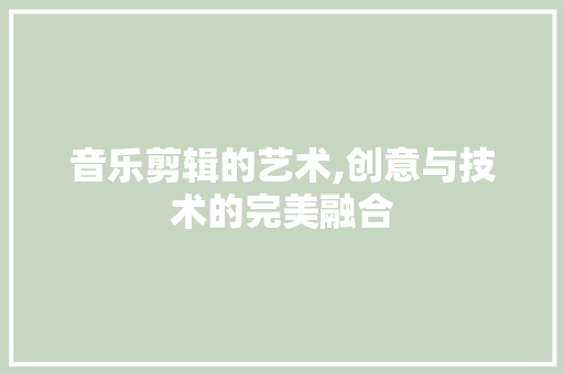 音乐剪辑的艺术,创意与技术的完美融合 操作系统