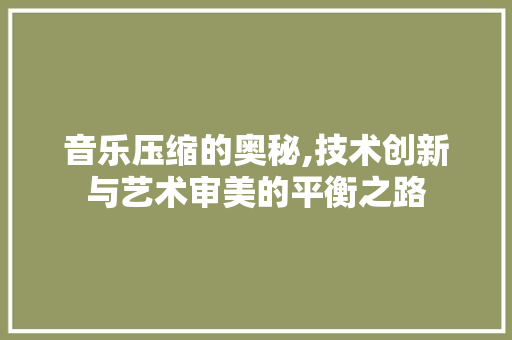 音乐压缩的奥秘,技术创新与艺术审美的平衡之路
