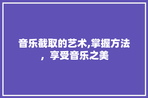音乐截取的艺术,掌握方法,享受音乐之美 电脑配置 音乐截取的艺术,掌握方法,享受音乐之美 电脑配置