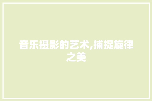 音乐摄影的艺术,捕捉旋律之美 操作系统