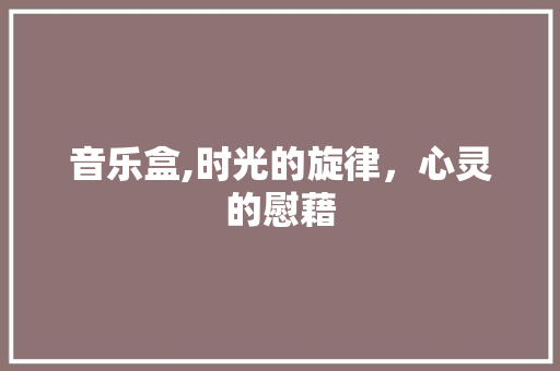 音乐盒,时光的旋律，心灵的慰藉 网络技术