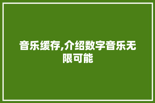 音乐缓存,介绍数字音乐无限可能 电脑基础