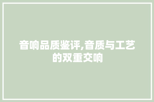 音响品质鉴评,音质与工艺的双重交响