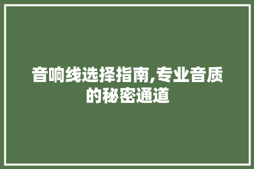 音响线选择指南,专业音质的秘密通道