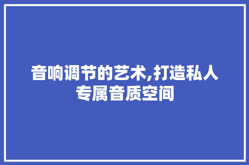 音响调节的艺术,打造私人专属音质空间