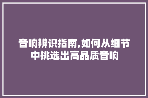 音响辨识指南,如何从细节中挑选出高品质音响