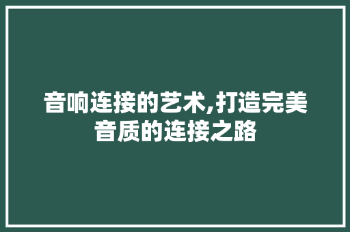 音响连接的艺术,打造完美音质的连接之路