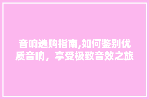 音响选购指南,如何鉴别优质音响，享受极致音效之旅