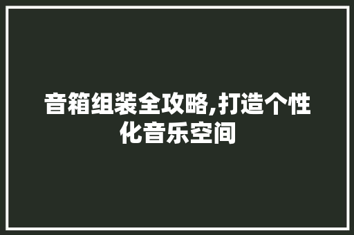 音箱组装全攻略,打造个性化音乐空间
