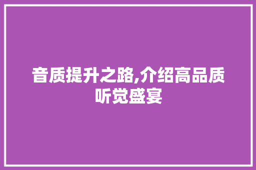 音质提升之路,介绍高品质听觉盛宴