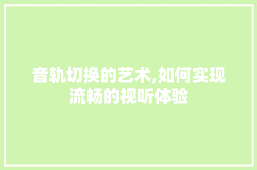 音轨切换的艺术,如何实现流畅的视听体验