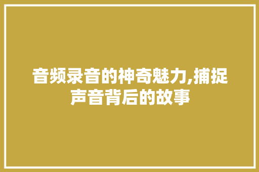 音频录音的神奇魅力,捕捉声音背后的故事