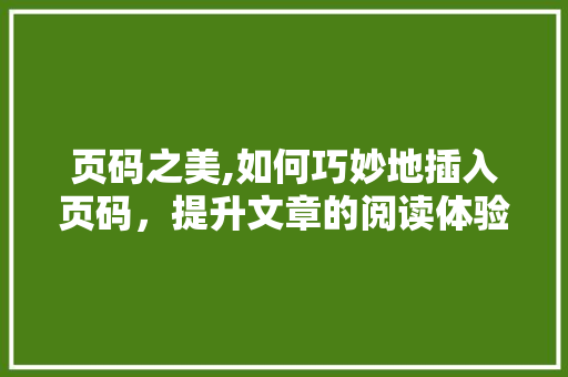 页码之美,如何巧妙地插入页码，提升文章的阅读体验