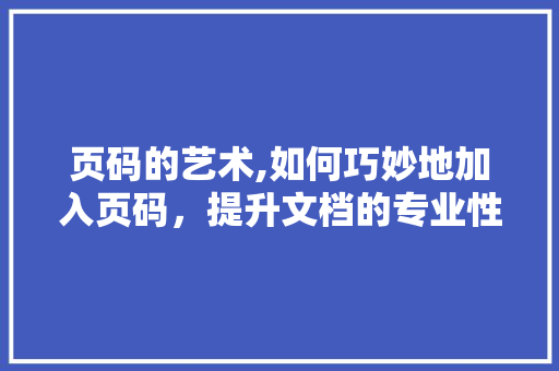 页码的艺术,如何巧妙地加入页码，提升文档的专业性与美观度