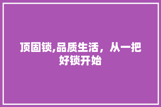 顶固锁,品质生活，从一把好锁开始