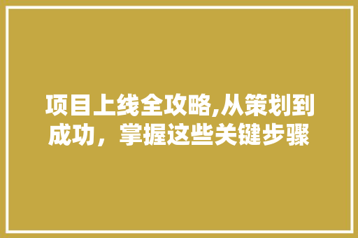 项目上线全攻略,从策划到成功，掌握这些关键步骤