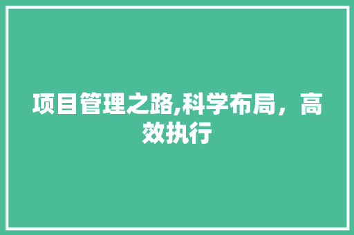 项目管理之路,科学布局，高效执行