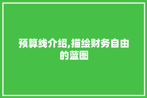 预算线介绍,描绘财务自由的蓝图