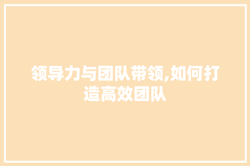 领导力与团队带领,如何打造高效团队