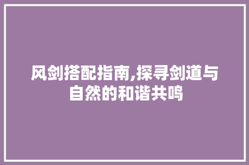 风剑搭配指南,探寻剑道与自然的和谐共鸣