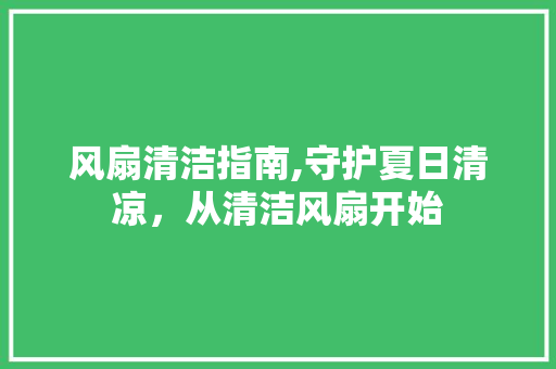 风扇清洁指南,守护夏日清凉，从清洁风扇开始