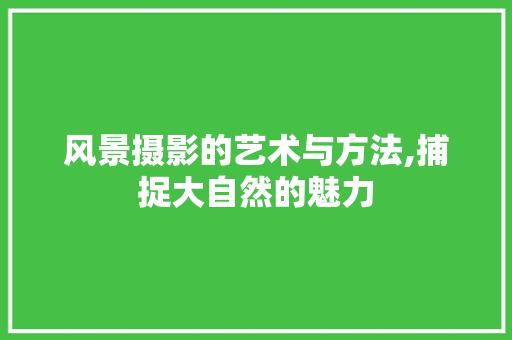 风景摄影的艺术与方法,捕捉大自然的魅力 风景摄影的艺术与方法,捕捉大自然的魅力