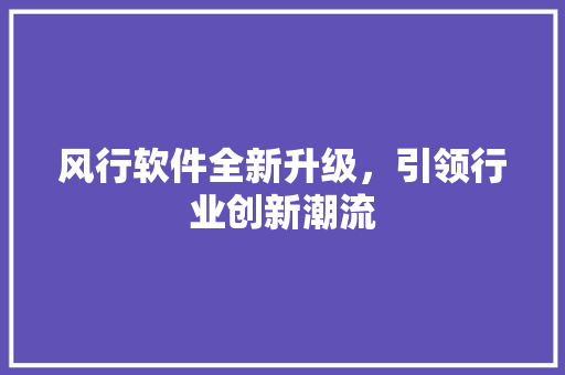 风行软件全新升级，引领行业创新潮流 电脑配置