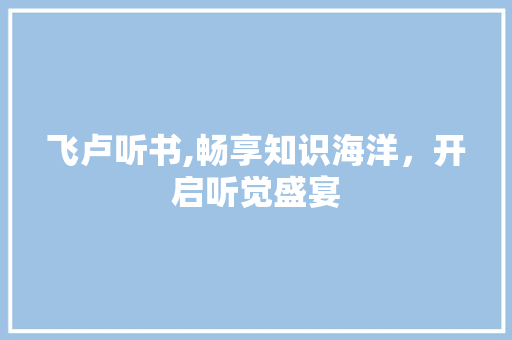 飞卢听书,畅享知识海洋，开启听觉盛宴 电脑基础