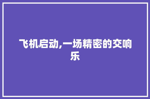 飞机启动,一场精密的交响乐 飞机启动,一场精密的交响乐