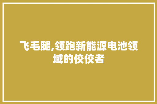 飞毛腿,领跑新能源电池领域的佼佼者 飞毛腿,领跑新能源电池领域的佼佼者