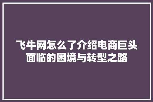 飞牛网怎么了介绍电商巨头面临的困境与转型之路 飞牛网怎么了介绍电商巨头面临的困境与转型之路