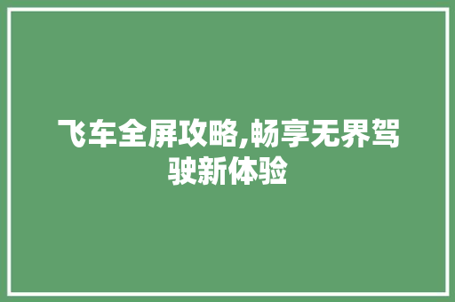 飞车全屏攻略,畅享无界驾驶新体验