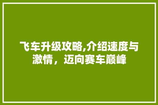 飞车升级攻略,介绍速度与激情，迈向赛车巅峰