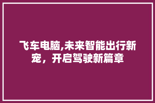 飞车电脑,未来智能出行新宠，开启驾驶新篇章