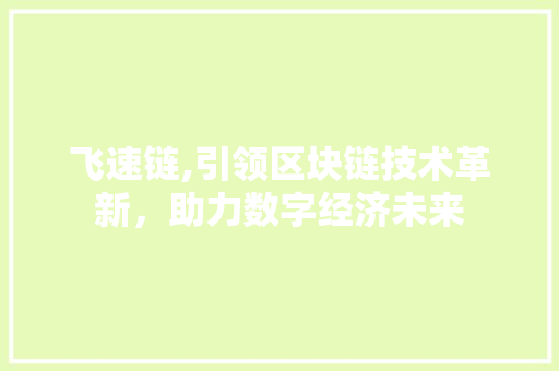 飞速链,引领区块链技术革新，助力数字经济未来