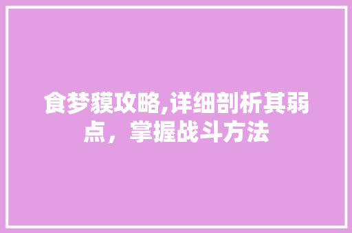 食梦貘攻略,详细剖析其弱点，掌握战斗方法