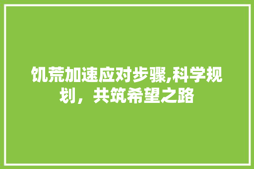 饥荒加速应对步骤,科学规划，共筑希望之路