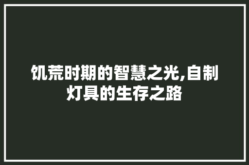 饥荒时期的智慧之光,自制灯具的生存之路